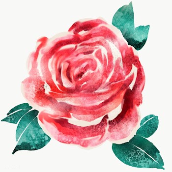 Watercolor red rose flower sticker overlay design element  | Free  transparent png - 2350194