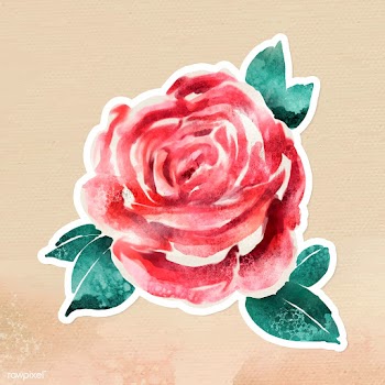 Watercolor rose sticker overlay with a white border vector | Free  vector - 2359541