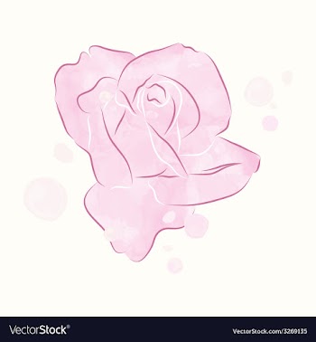 Watercolor rosebud vector image