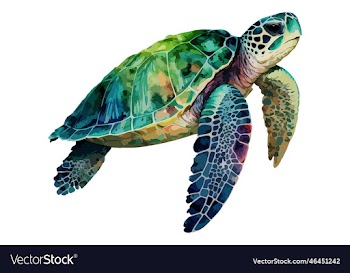 watercolor sea turtle