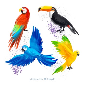 Watercolor style exotic birds collection Free Vector