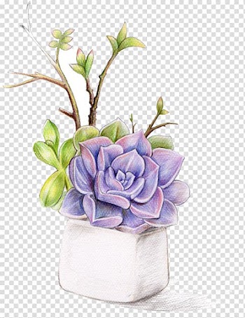Watercolor succulents transparent background PNG clipart