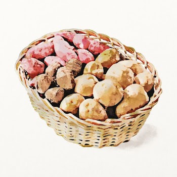 Watercolor sweet potato and potato | Free Photo Illustration - rawpixel