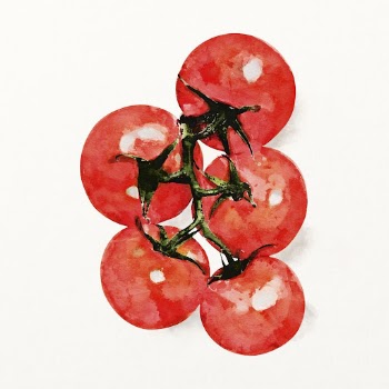 Watercolor tomato illustration, vegetable drawing | Free Photo Illustration - rawpixel