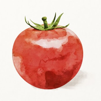 Watercolor tomato illustration, vegetable drawing | Free Photo Illustration - rawpixel