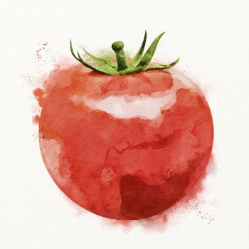 Watercolor tomato illustration, vegetable drawing | Free Photo Illustration - rawpixel