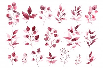 Watercolor tropical burgundy maroon leaves isolated Free Vector