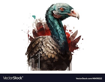 watercolor turkey