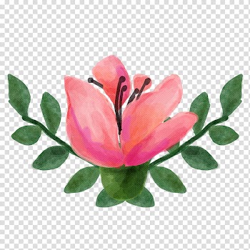 Watercolor vintage flowers , pink and green flower border illustration transparent background PNG clipart