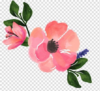 Watercolor vintage flowers , pink and green flowers illustration transparent background PNG clipart