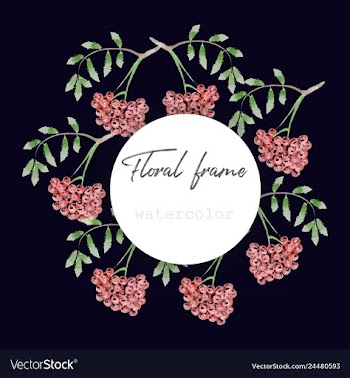 Watercolor wreath frame flowers invitation vector image