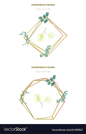 Watercolor wreath frame flowers invitation vector image