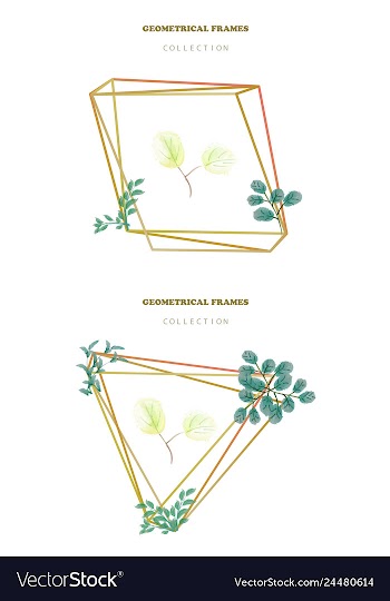 Watercolor wreath frame flowers invitation vector image