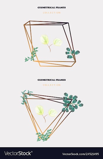 Watercolor wreath frame flowers invitation vector image