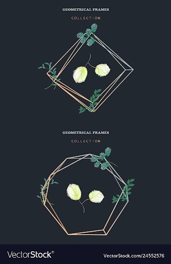 Watercolor wreath frame flowers invitation vector image