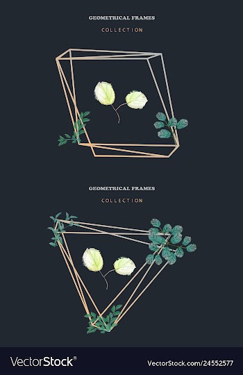 Watercolor wreath frame flowers invitation vector image