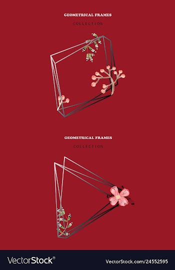 Watercolor wreath frame flowers invitation vector image