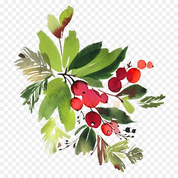 Watercolour Flowers Floral design Watercolor painting Clip art - christmas 