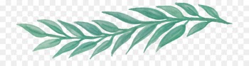 Watercolour Flowers Leaf Watercolor painting Floral design - watercolor leaves 