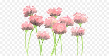 Watercolour Flowers Watercolor: Flowers Watercolor painting Pink flowers - painting 