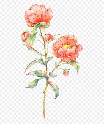 Watercolour Flowers Watercolor: Flowers Watercolor painting - Watercolor flowers 