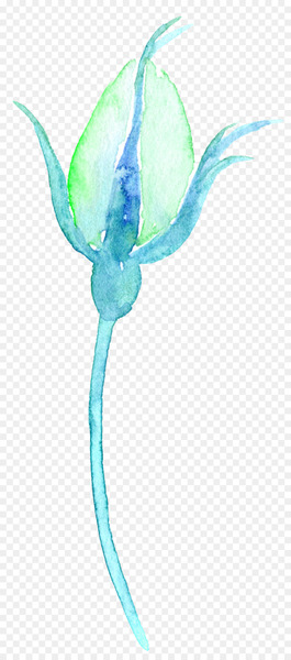 Watercolour Flowers Watercolor: Flowers Watercolor painting - Watercolor Flowers Flowers 