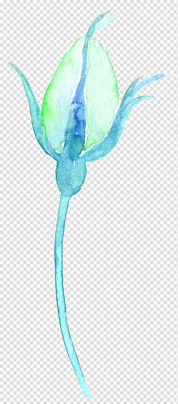 Watercolour Flowers Watercolor: Flowers Watercolor painting, Watercolor Flowers Flowers transparent background PNG clipart