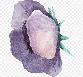 Watercolour Flowers Watercolor Landscape Watercolor painting - Watercolor flowers 