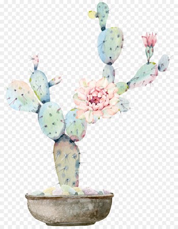 Watercolour Flowers Watercolor painting Cactaceae Drawing - Water color flower, green plant cactus 