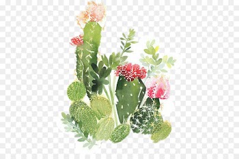 Watercolour Flowers Watercolor painting Cactaceae Printmaking - painting 