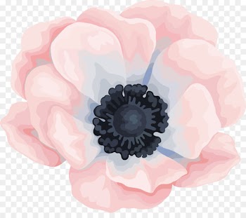Watercolour Flowers Watercolor painting Canvas - Cartoon watercolor floral decoration 