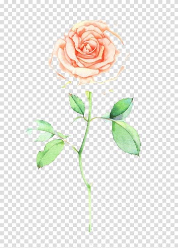Watercolour Flowers Watercolor painting Drawing Illustration, Watercolor flowers transparent background PNG clipart