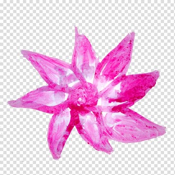 Watercolour Flowers Watercolor painting Drawing Shading, flower watercolour transparent background PNG clipart