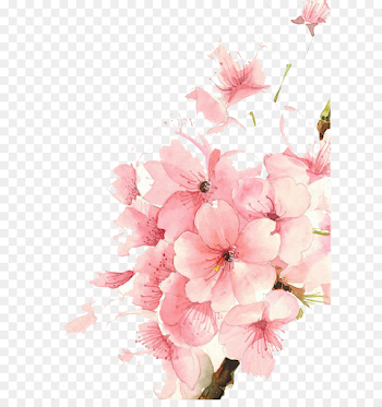Watercolour Flowers Watercolor painting Drawing - Watercolor ...