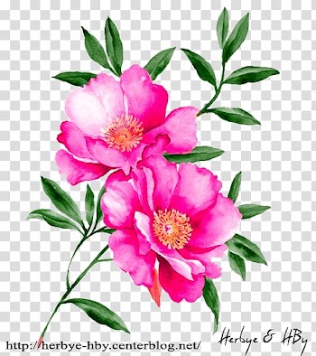 Watercolour Flowers Watercolor painting Floral design Drawing, flower transparent background PNG clipart