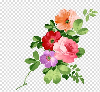 Watercolour Flowers Watercolor painting, flower paint transparent background PNG clipart