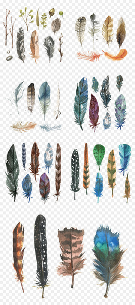 Watercolour Flowers Watercolor painting - Hand-painted watercolor feather 