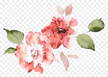 Watercolour Flowers Watercolor painting Poppy Flowers Watercolor: Flowers - flower 