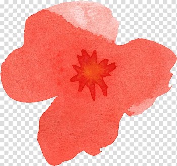 Watercolour Flowers Watercolor painting Poppy, watercolor flower transparent background PNG clipart
