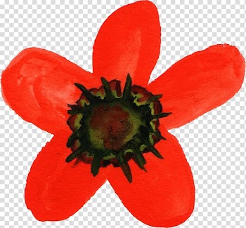 Watercolour Flowers Watercolor painting Poppy, watercolor flower transparent background PNG clipart