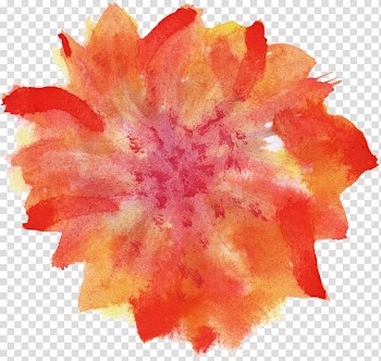 Watercolour Flowers Watercolor painting, watercolor flower transparent background PNG clipart