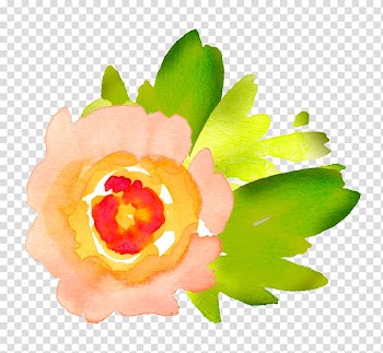 Watercolour Flowers Watercolor painting , watercolor flower transparent background PNG clipart