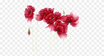 Watercolour Flowers, Watercolour Paintings, Watercolor - Red Flowers Watercolor Png