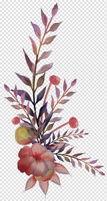 Watercolour Motif, pink and white petaled flower transparent background PNG clipart