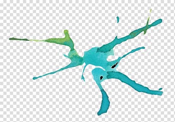 Watercolour Techniques Watercolor painting Insect Art, water color transparent background PNG clipart