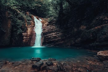 Waterfall and Green Leafed Trees
