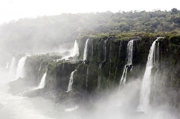 Waterfall and Trees