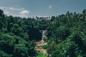 Waterfall, Forest &amp; Blue Sky