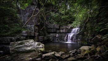 Waterfall in Forest