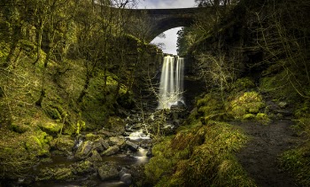 Waterfall Near Bridge Surrounded by Trees